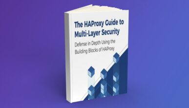 The HAProxy Guide to Multi-Layer Security
