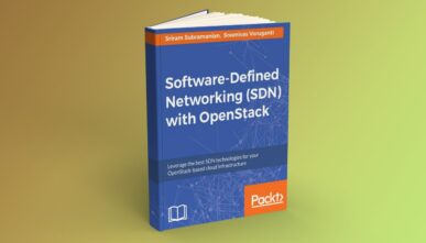 Software-Defined Networking (SDN) with OpenStack