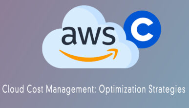 Cloud Cost Management: Optimization Strategies